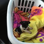 Judy Rohrscheib - @judyrohrscheib - Instagram