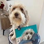 Judy Roos - @judyroos.pawtraits - Instagram