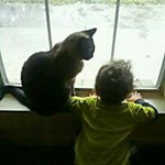 Judy Lynn Rowan - @psalm_117 - Instagram
