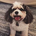 Judy Rowan - @cpe65756 - Instagram