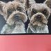 Judith Rubenstein - Facebook