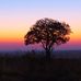 Judy Rubenstein - Facebook