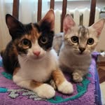 Judy and Ruby - @judy_and_ruby - Instagram