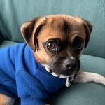 Judy Ruby Barkland - @my_good_girl_judy - Instagram