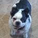 Judy Runyon - Facebook
