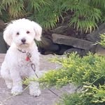 Judy Rust - @rust.judy - Instagram