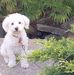 Judy Rust - Facebook