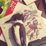 judy rust - @gandjrust - Instagram