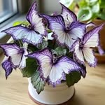 Judy Rust - @rustjudy - Instagram