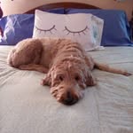 Judy Rust Waters - @judy_r_waters - Instagram