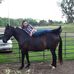 Judy Sack - Facebook