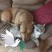 Judy Sackett - Facebook