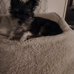 Jude Saucier - @jude.saucier.50 - Instagram