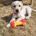 Judy Saucier - Facebook