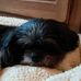Judy Saucier - Facebook