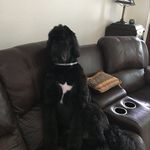 Judy Miller Schell - @judymillerschell - Instagram
