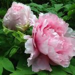 Judy Schell - @judy.schell.90 - Instagram