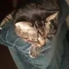 Judy Schoonover - @judy.schoonover0 - TikTok