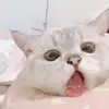 ⌗ วυԃу 𖡜̸ - @judyshelps - TikTok