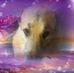 Judy Settles - Facebook