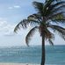 Judy Setzer - Facebook