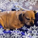 Judy Sharkey Fries - @sharkey351 - Instagram