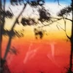 Judith C. Shaver - @shaverjudith - Instagram