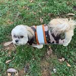 Judy Shaver - @judyshaver5 - Instagram