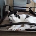 Judy Shellabarger - @judy__shellabarger - Instagram