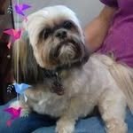 Judy Shellman - @shellmanjudy - Instagram