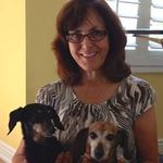Judi Showalter - @judishowalter - Instagram