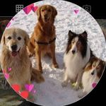 Judy Haines Siler - @jsilervt1 - Instagram