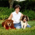 Judy Siler - @judysilercpa - Instagram
