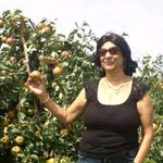 Judy Singh - @judy.singh.9693 - Instagram