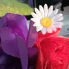 Judi Six - @judi.six - TikTok