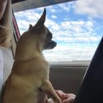 Judy A Skipper - @kuntryrose - Instagram
