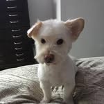 Judy Skipper - @judyskipper - Instagram