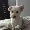 Judy Skipper - @judystaylorsversion - TikTok