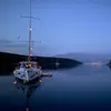 Judy - @skipperjudy - TikTok