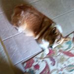 Judy L Smithson - @smithson.judy - Instagram