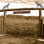 Judy Smithson - @jj_k9_ranch_ - Instagram