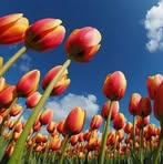 Judy Spaulding - Facebook