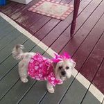 Judy Spaulding - @judy_spaulding - Instagram