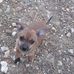Judy Spearman - Facebook