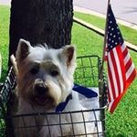 Judy Spearman Till - @judy60judy - Instagram