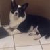 Judy Starks - Facebook