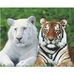 Judy St Clair - Facebook