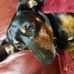 Judy StClair - Facebook
