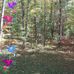 Judy Steiner - Facebook