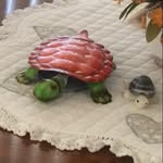🐢 Turtle - @steinkejudy - Instagram